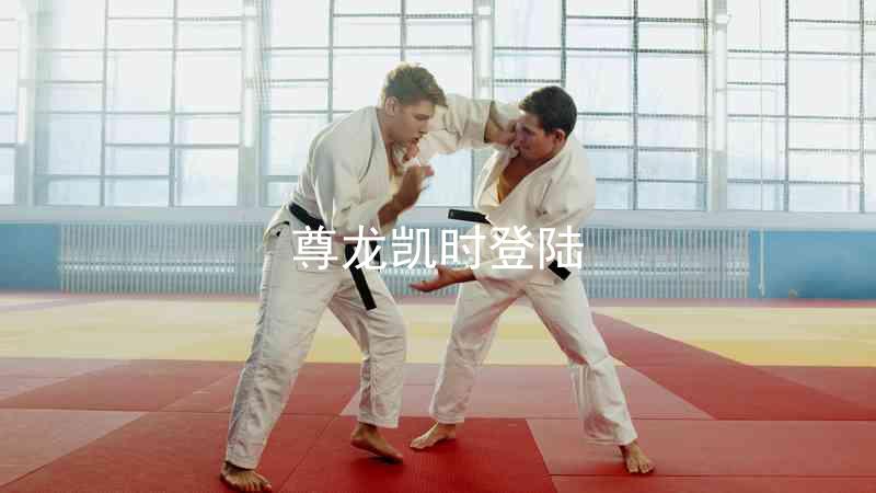 尊龙凯时登陆