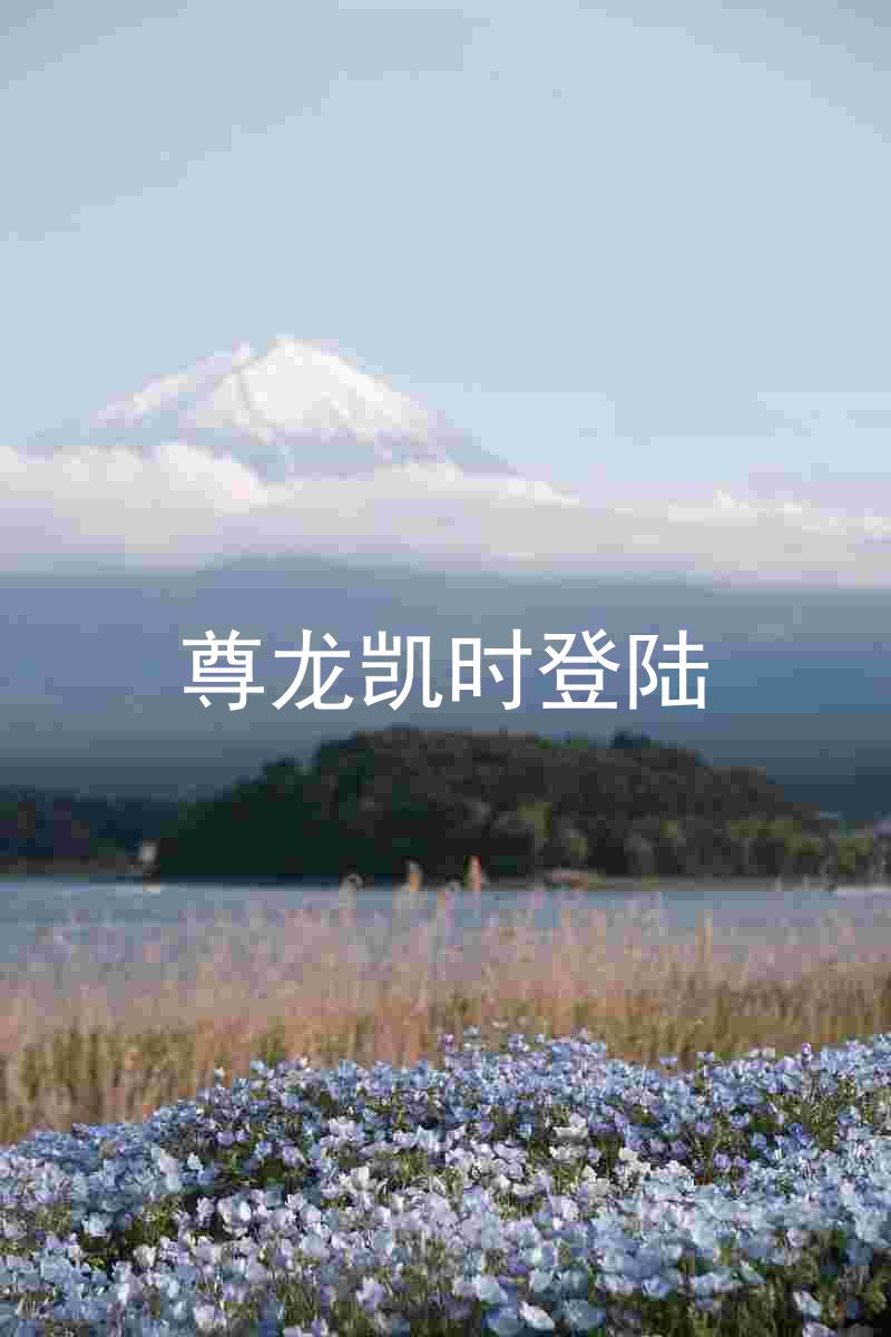 尊龙凯时登陆