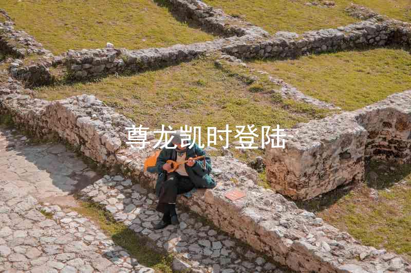 尊龙凯时登陆
